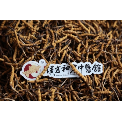 哪些人適合吃冬蟲夏草，這幾類人要注意！