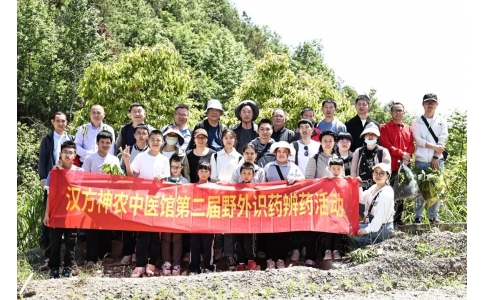 尋本草真源 探中藥奧秘——漢方神農(nóng)中醫(yī)館開(kāi)展第二屆野外識(shí)藥辨藥活動(dòng)！