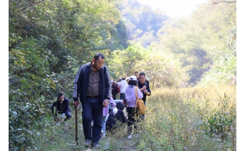 踏秋尋寶，聞香識(shí)藥！首屆神農(nóng)杯野外識(shí)藥大賽在株洲鳳凰山景區(qū)成功舉辦！
