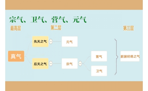 中醫(yī)里的“宗氣”、“衛(wèi)氣”、“營氣”、“元氣”